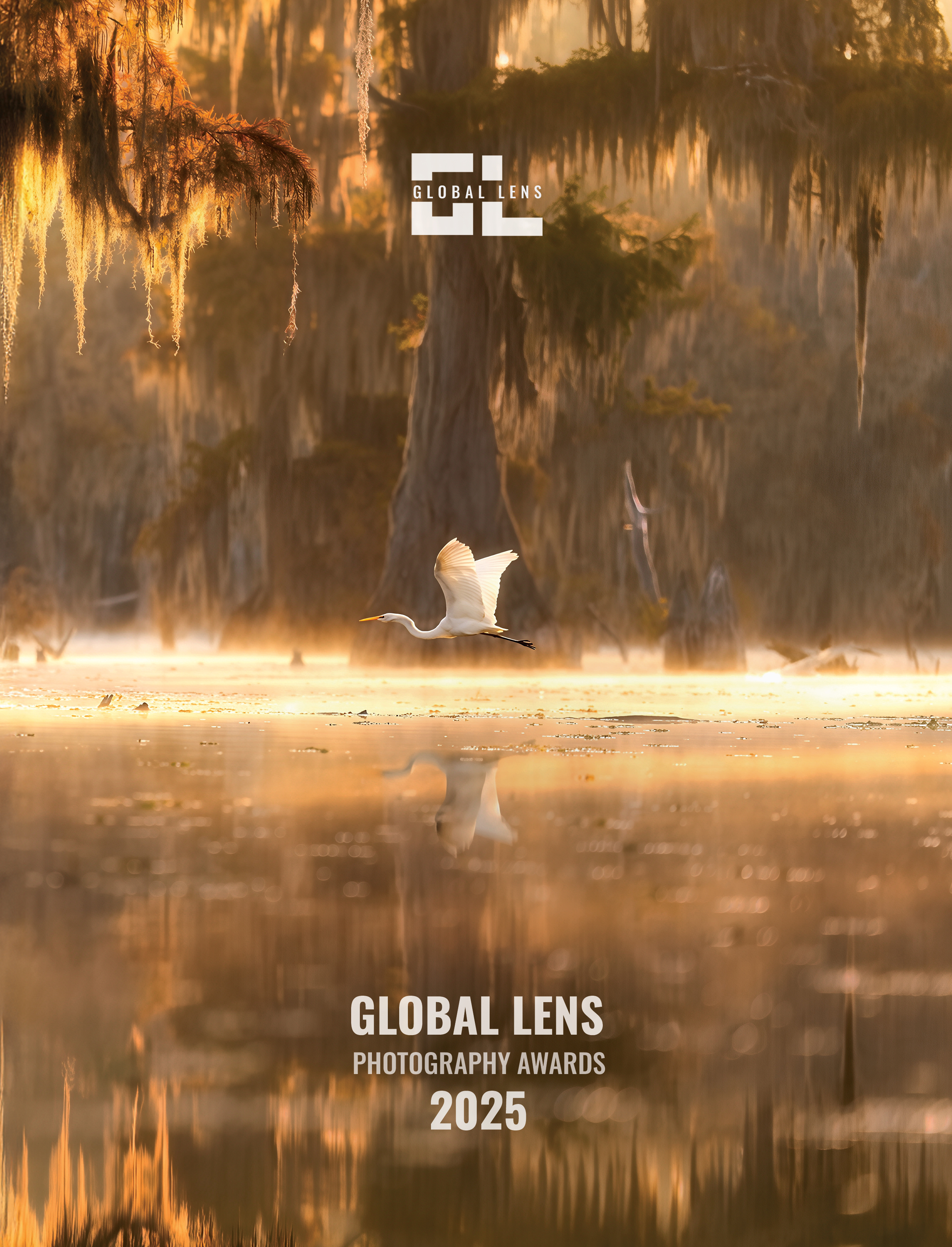 Couverture du livre Global Lens Photography Awards 2025 présentant une sélection internationale de photographies, incluant l'œuvre « Cosmos » du photographe Michel Rouabah.